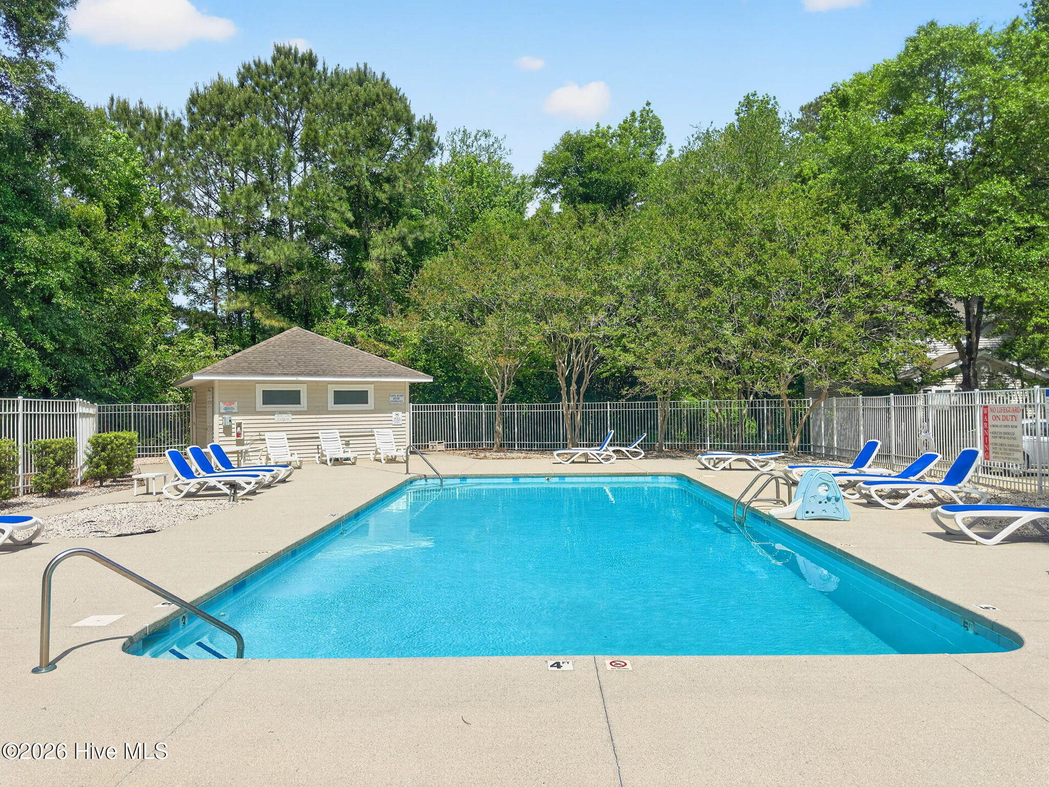 100570358 | Photo 38