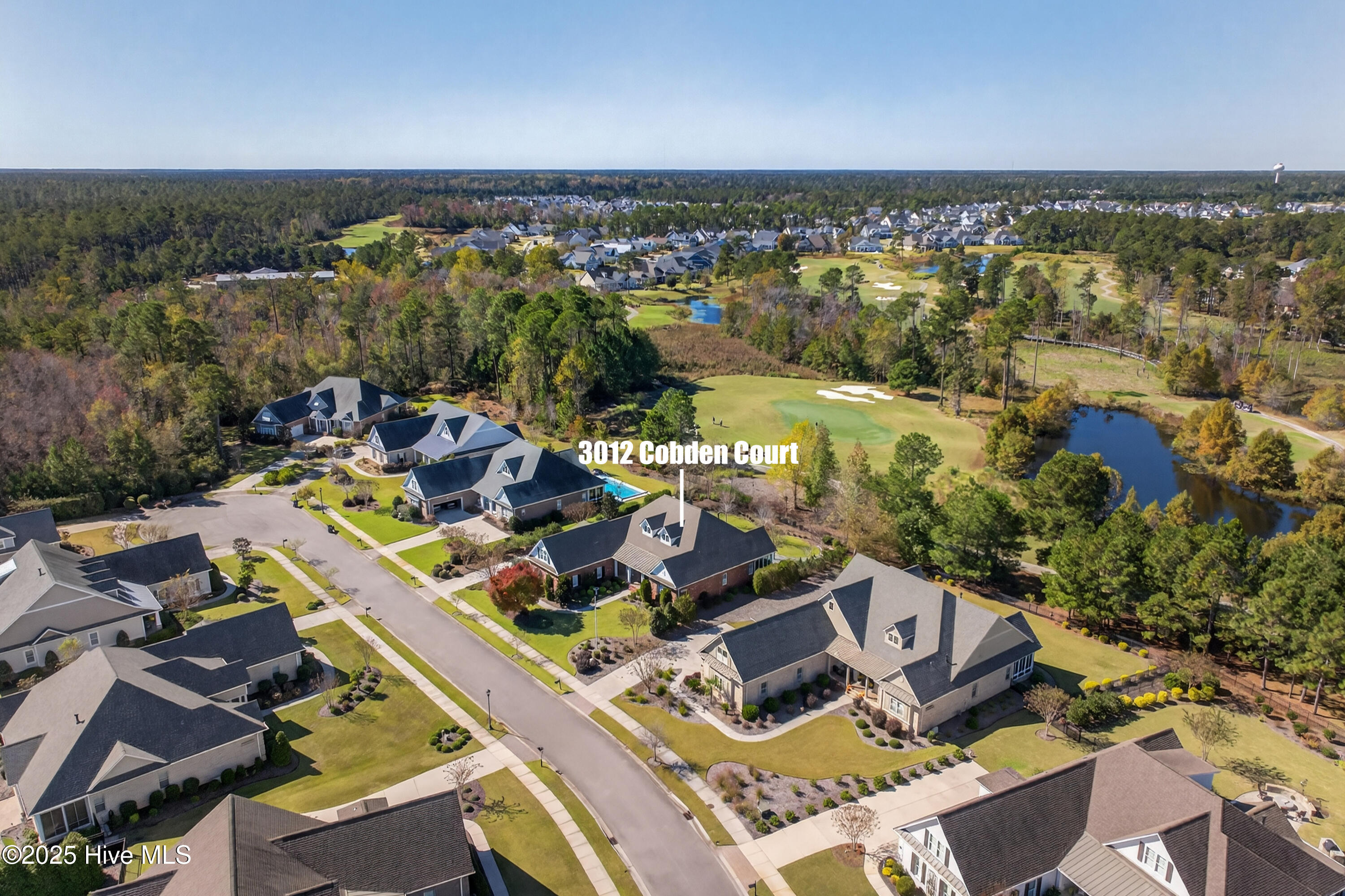 100527898 | Photo 67