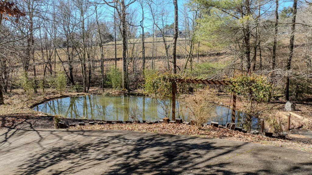 214 Hedden Road, Murphy, NC 28906 Listing Photo  15