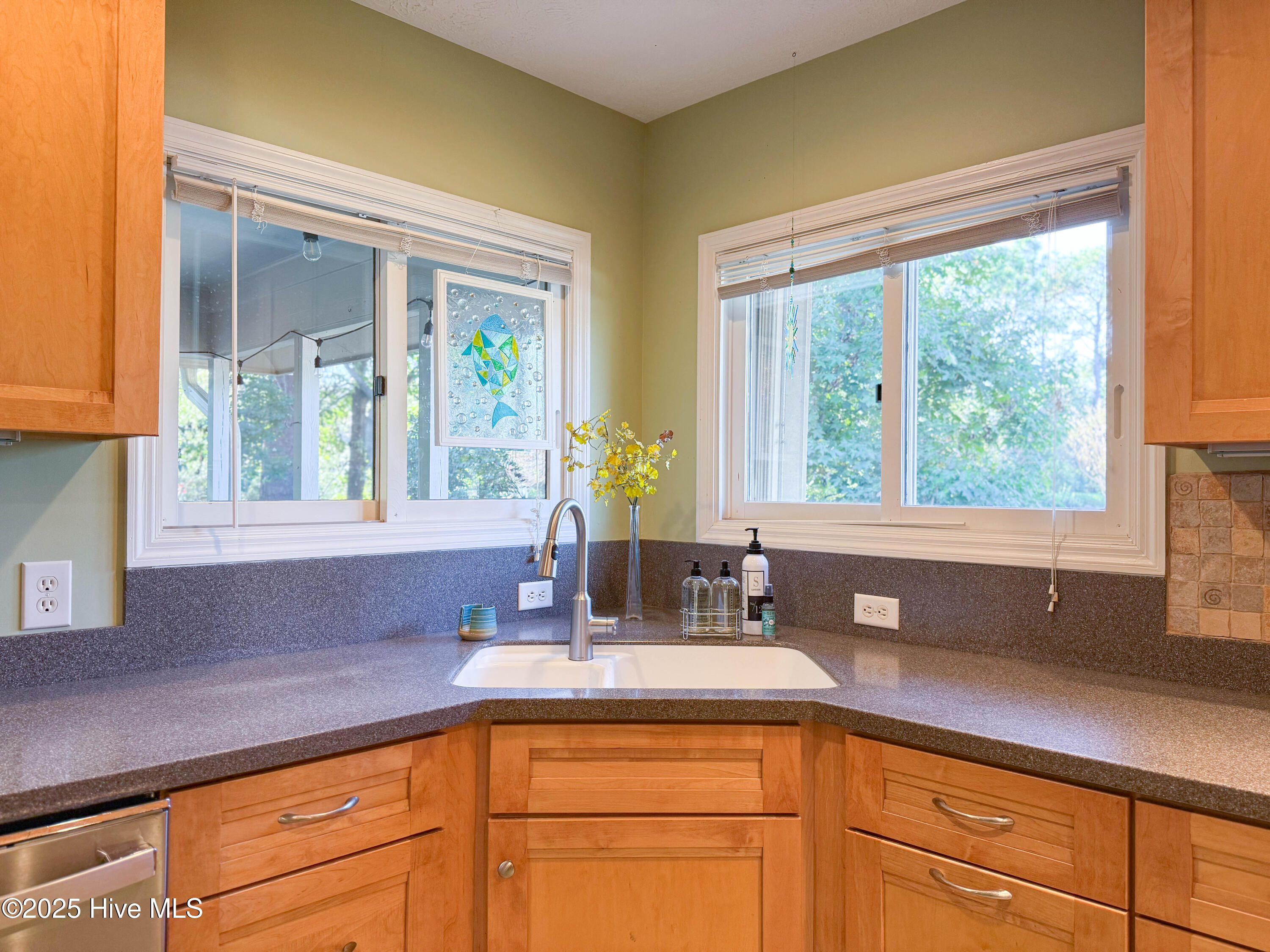 100538841 | Photo 24