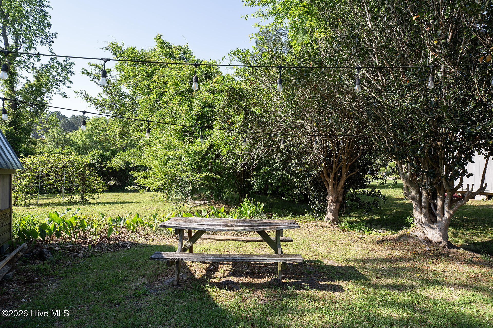 100567533 | Photo 39