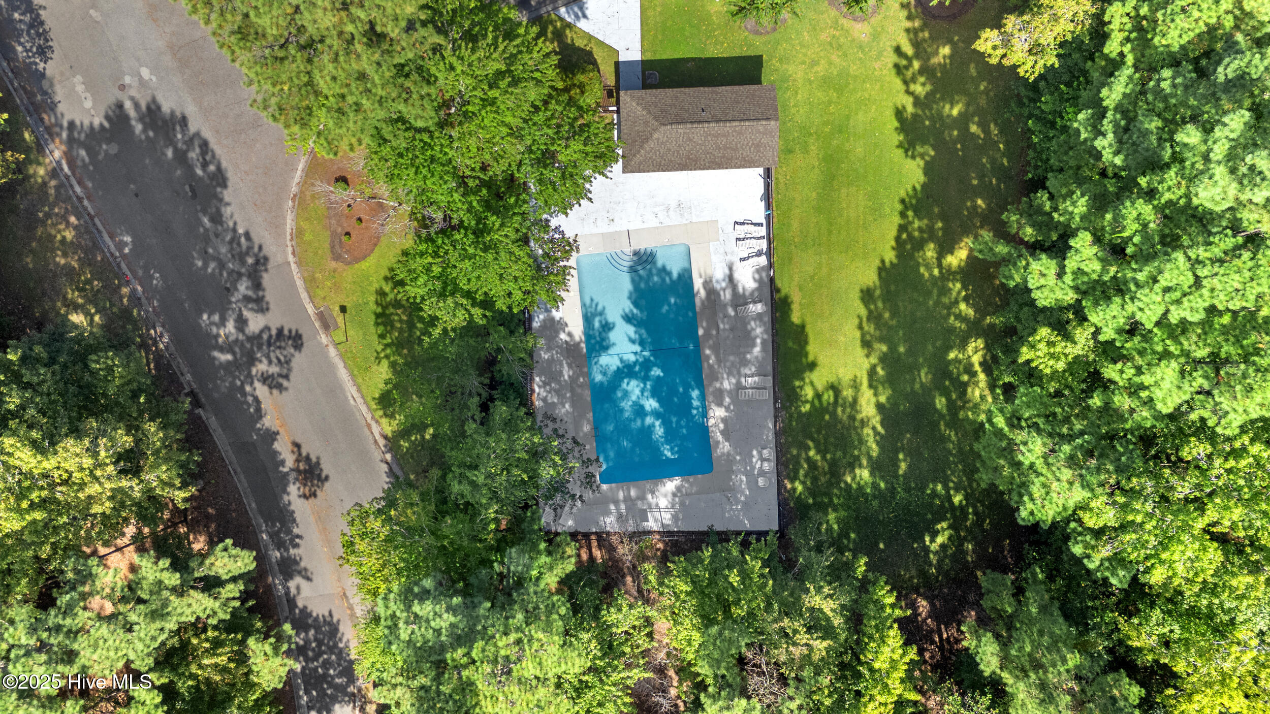 100534967 | Photo 24