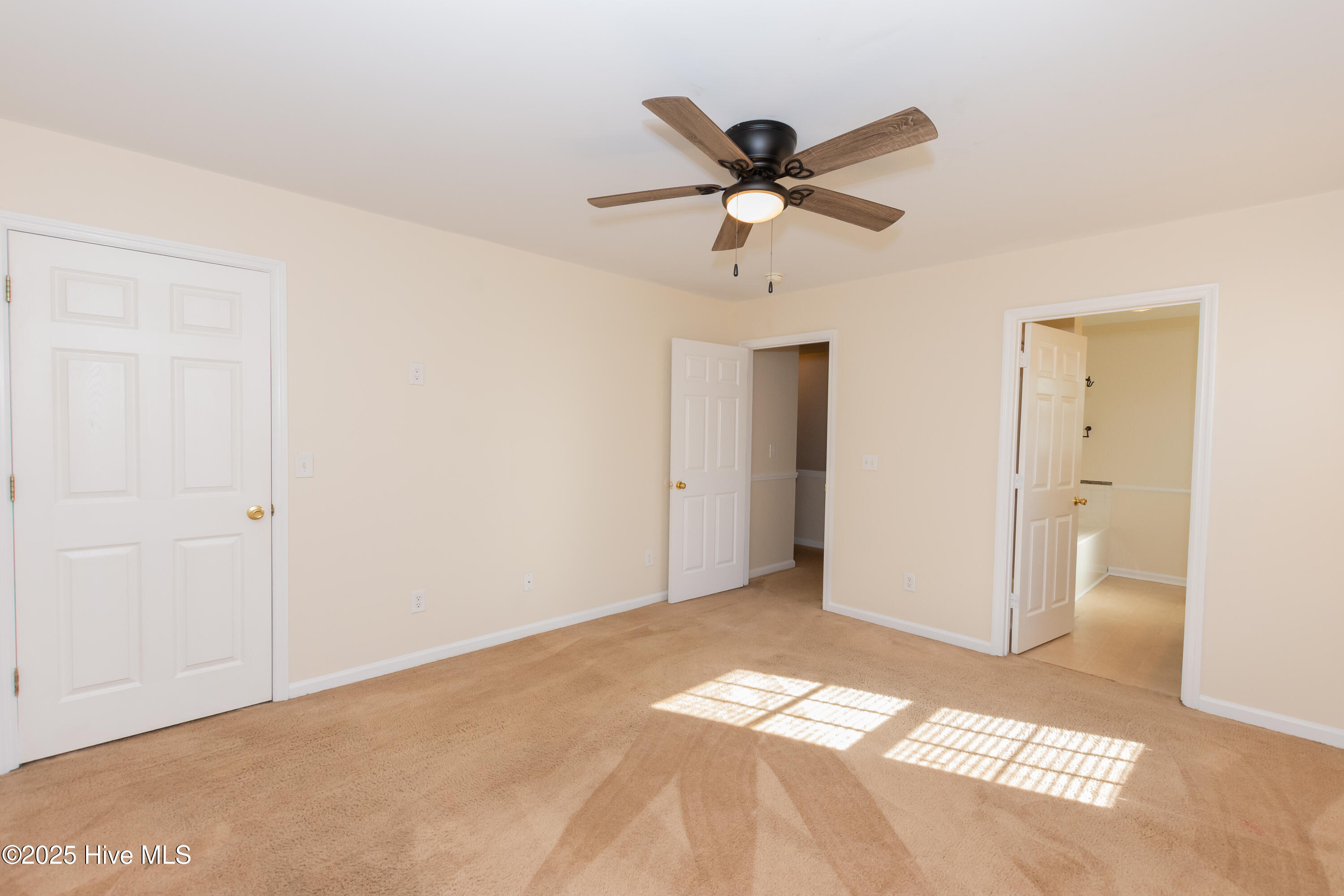 100541193 | Photo 27