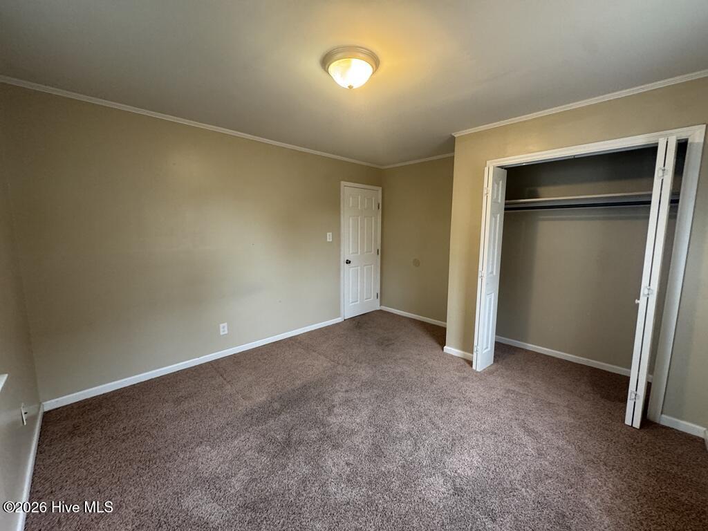 100555904 | Photo 13