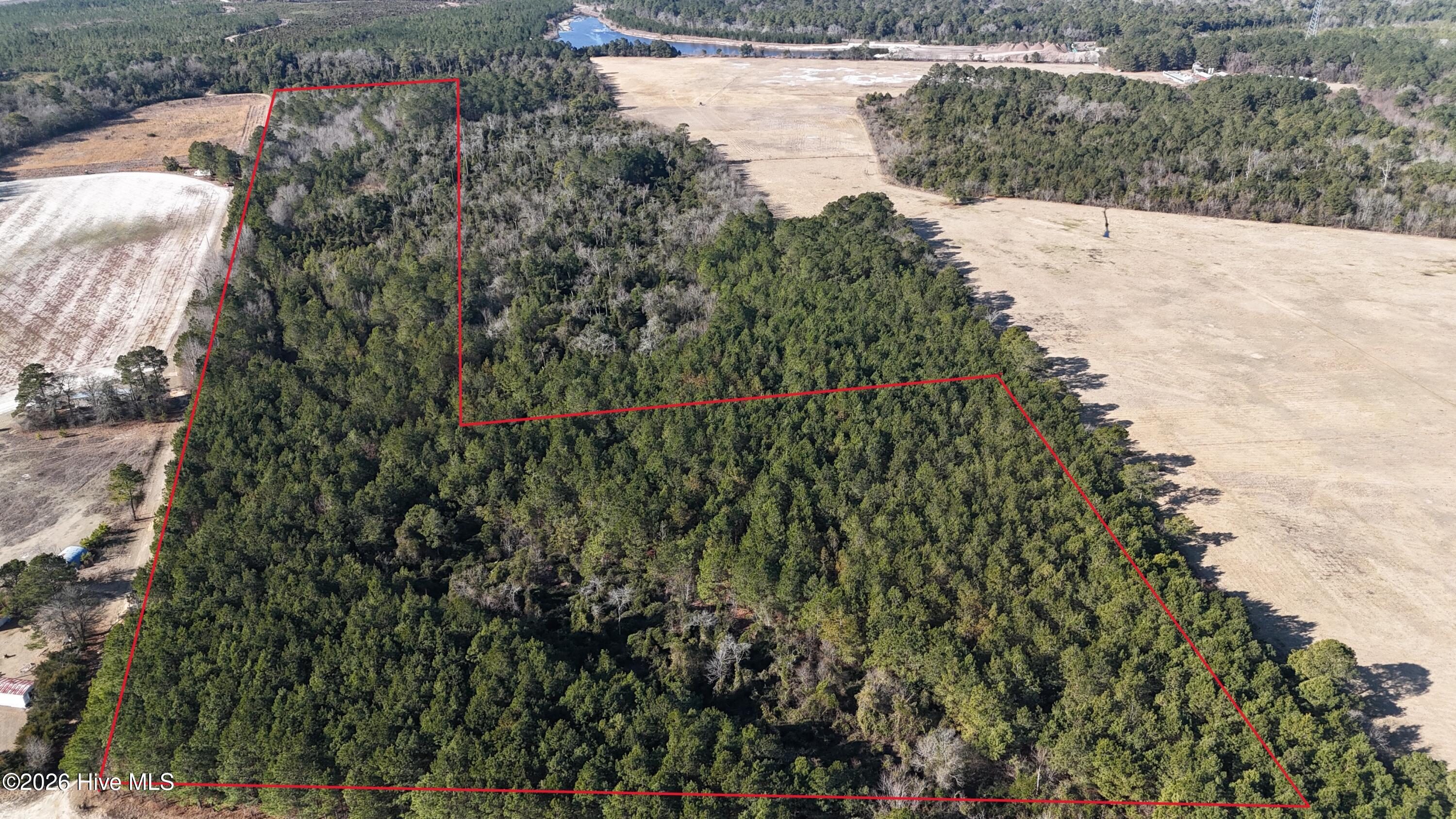 3191 GENE HOWARD Road, Stapleton, GA, 30823