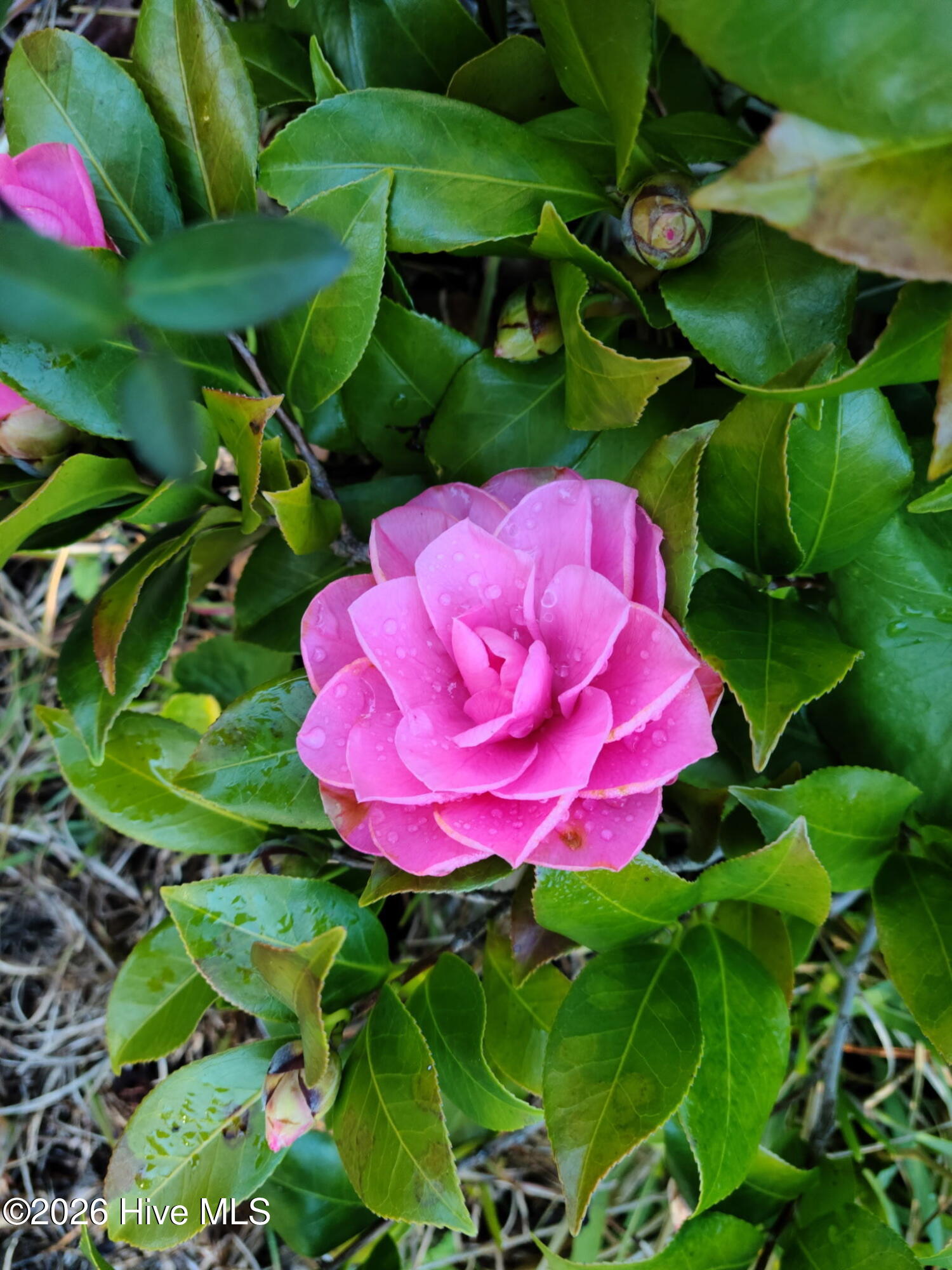 100549205 | Photo 64