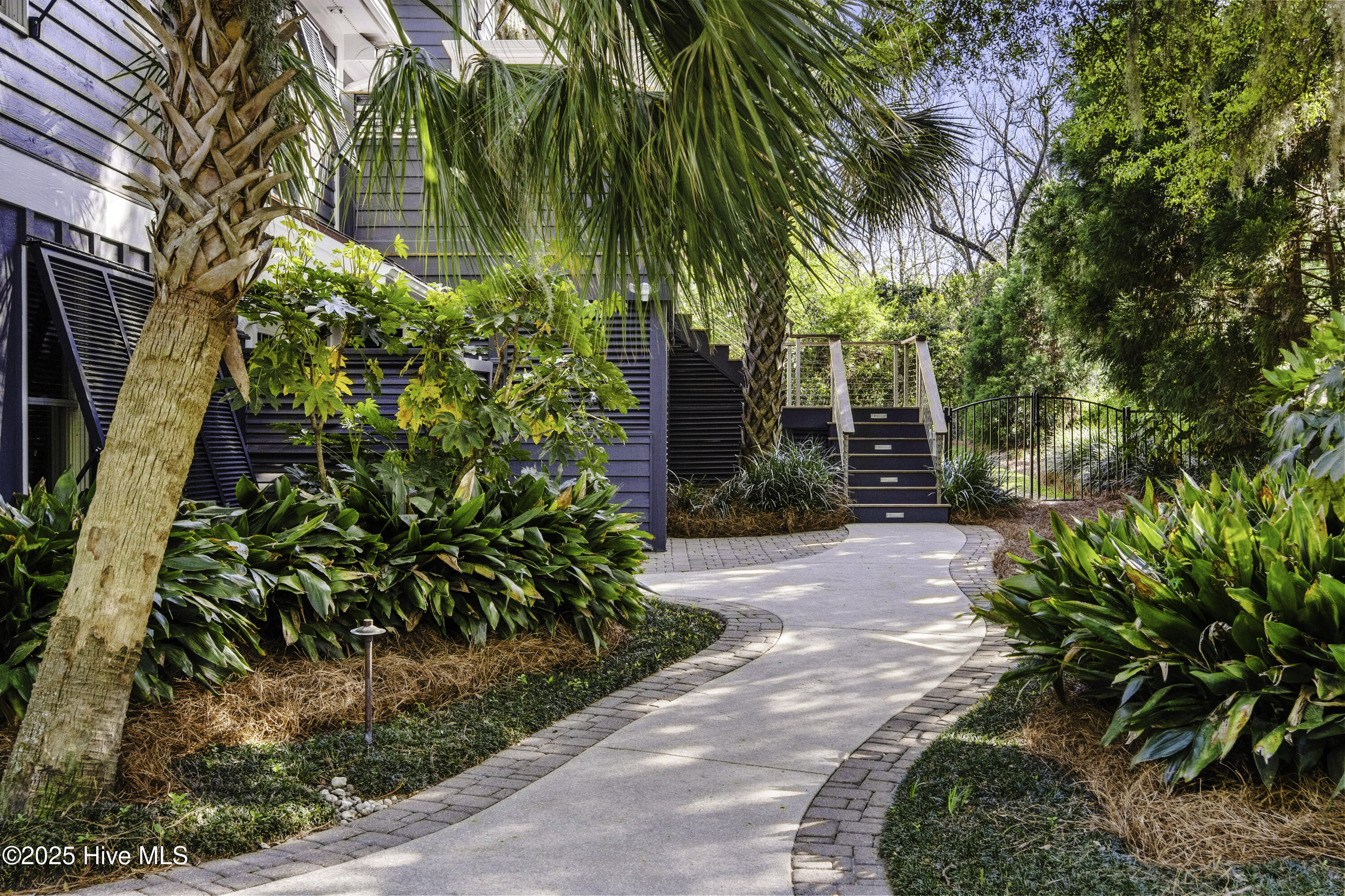 100555228 | Photo 61