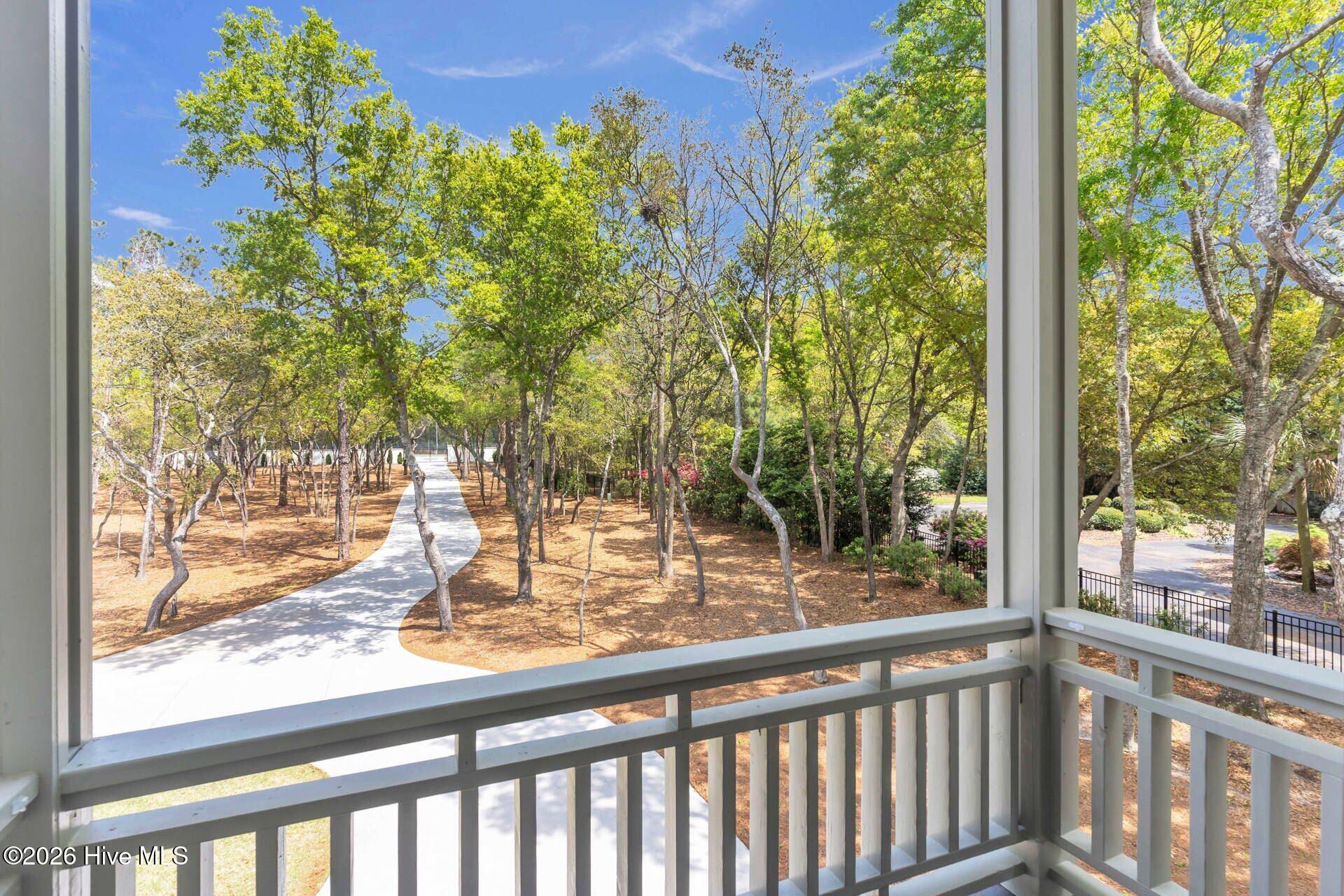 100553549 | Photo 51