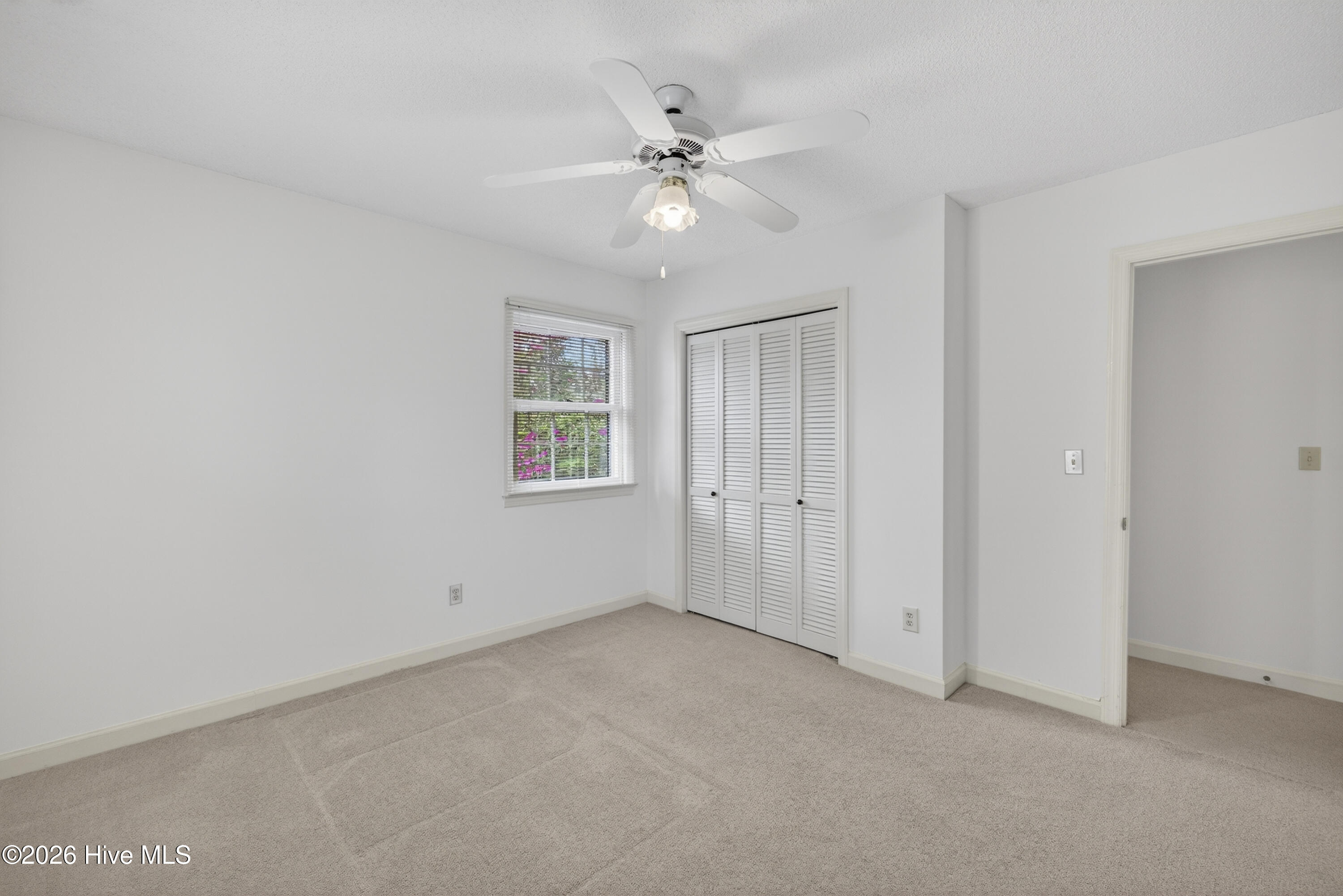 100562891 | Photo 19