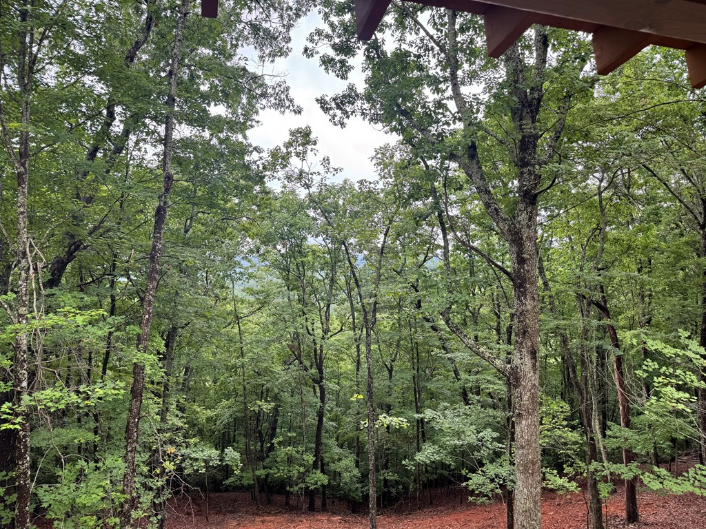 Exterior photo of Lot 37 Quail Creek, Murphy, NC 28906. MLS: 98544670