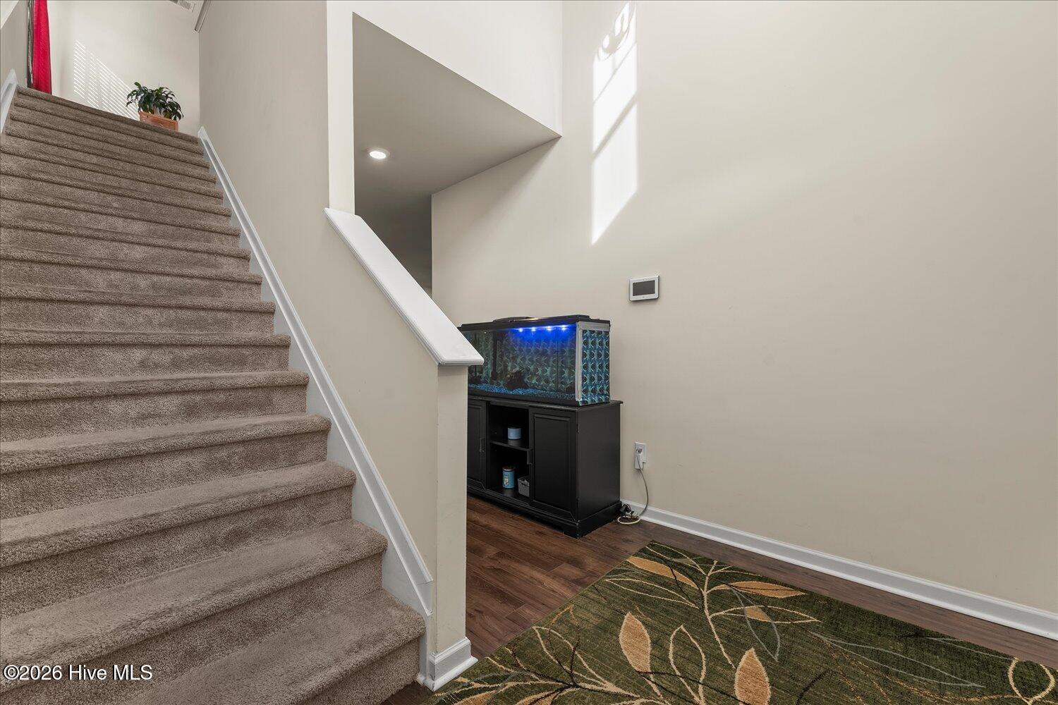 Entryway and Stairs