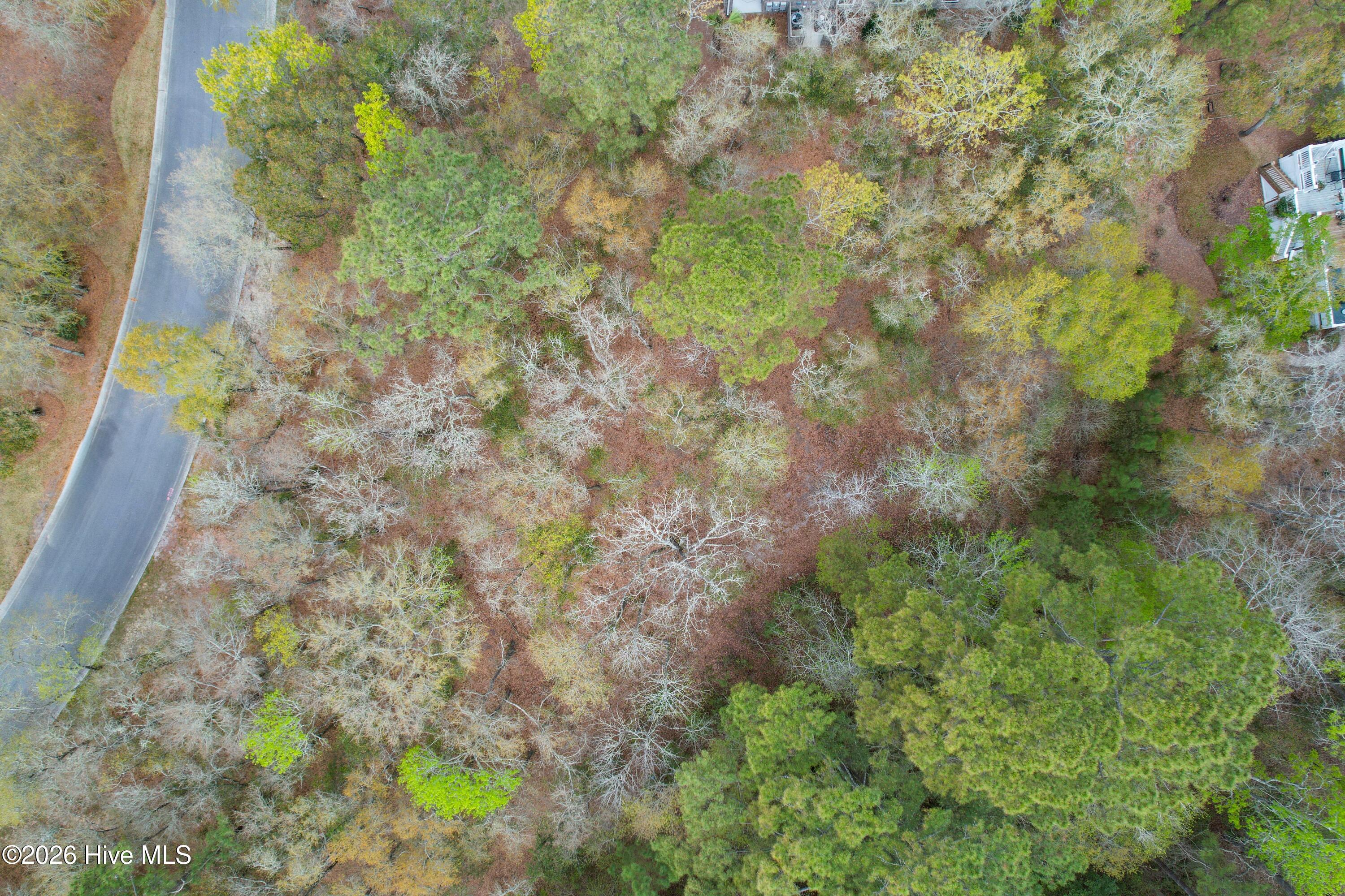 100567626 | Photo 17