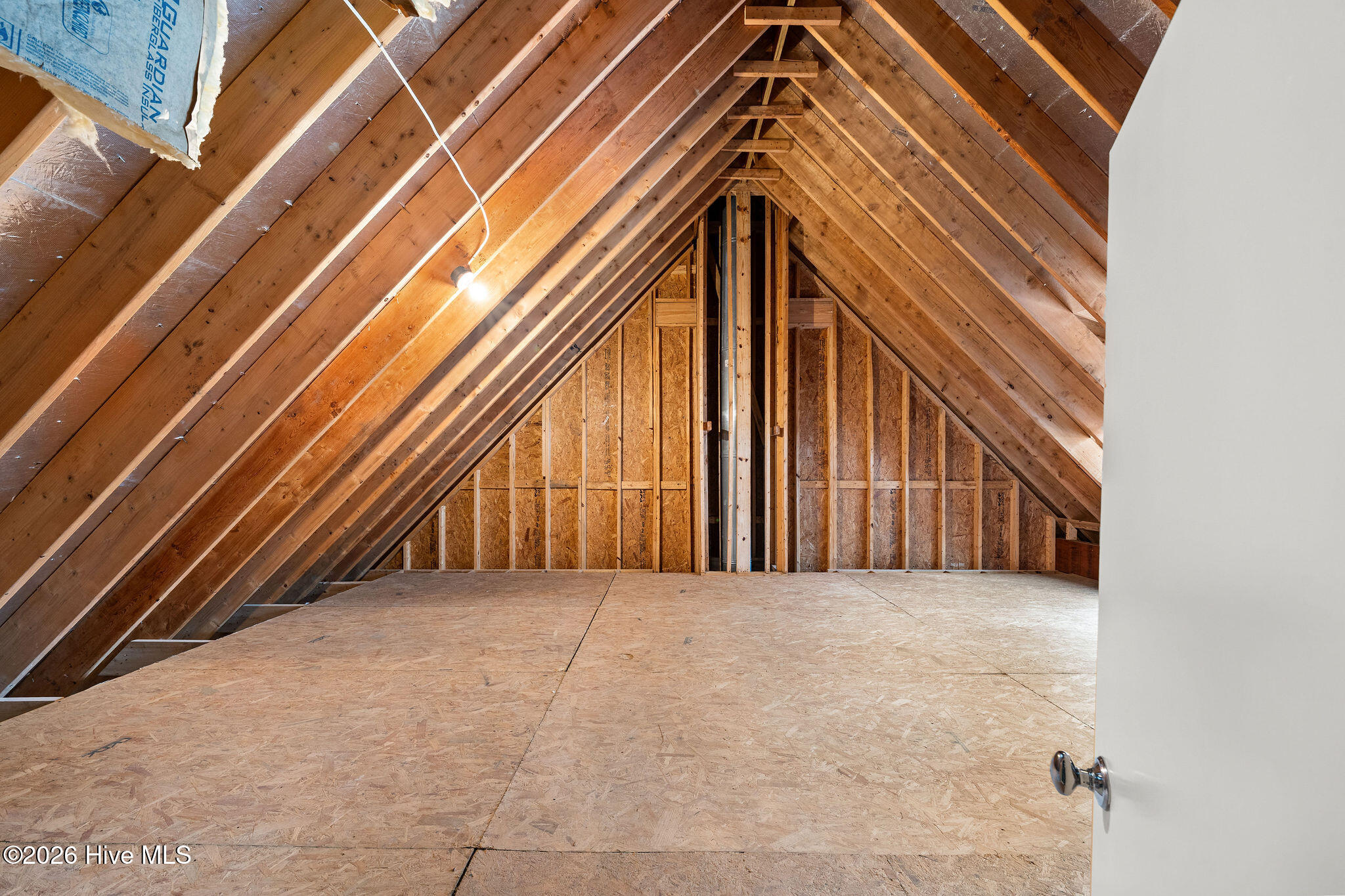 100553604 | Photo 81