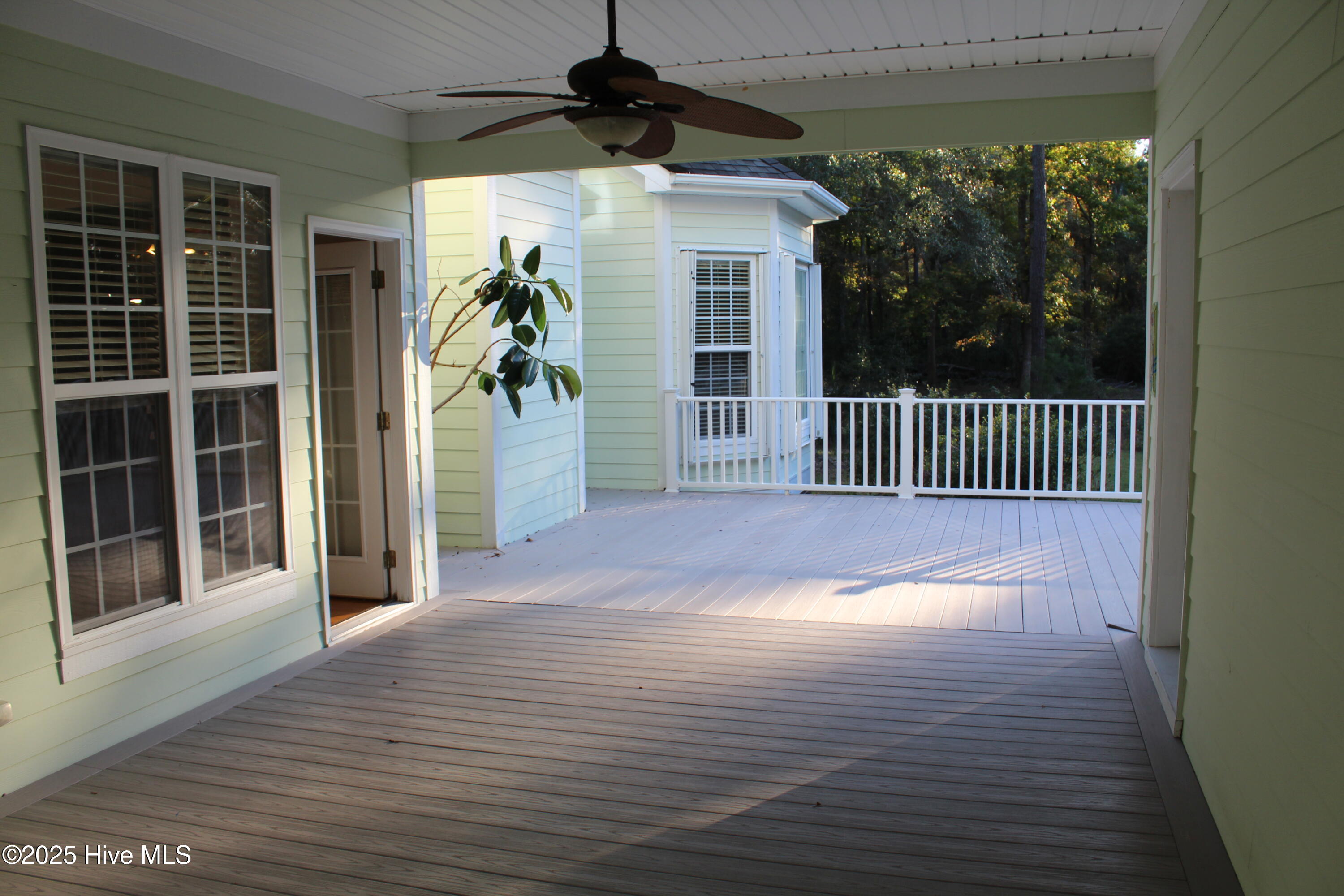 100540386 | Photo 16