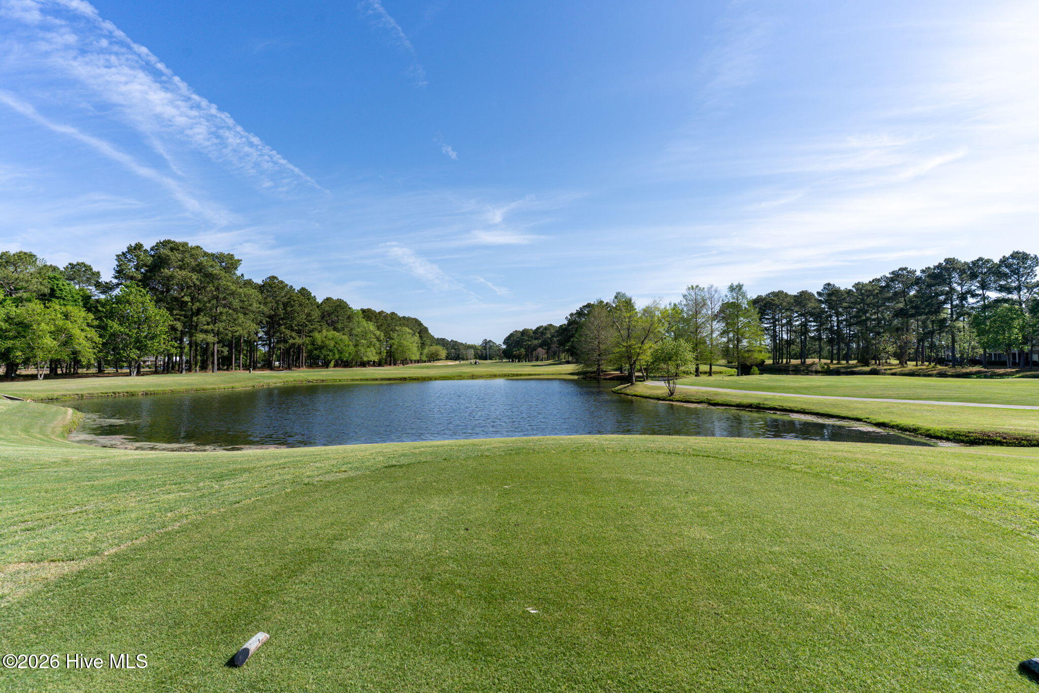 100564784 | Photo 52