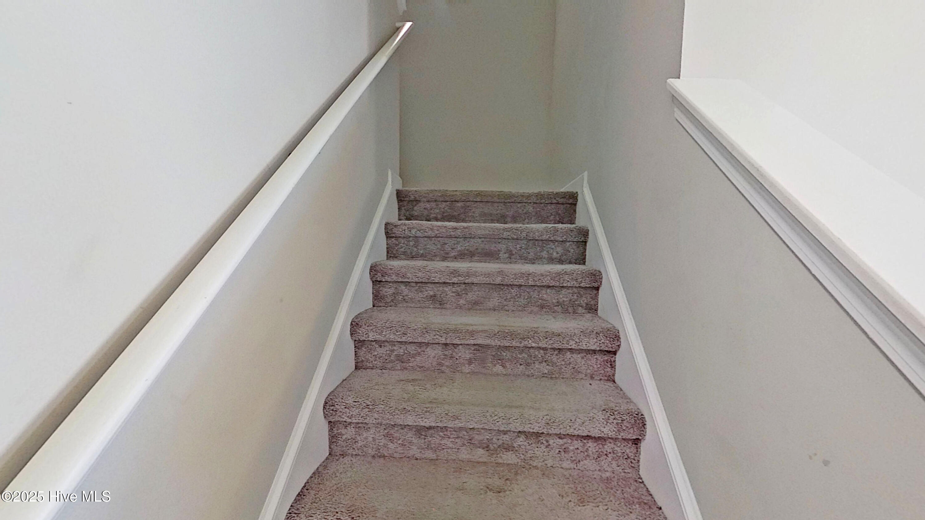 100537612 | Photo 17