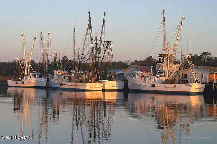 100568431 | Photo 39