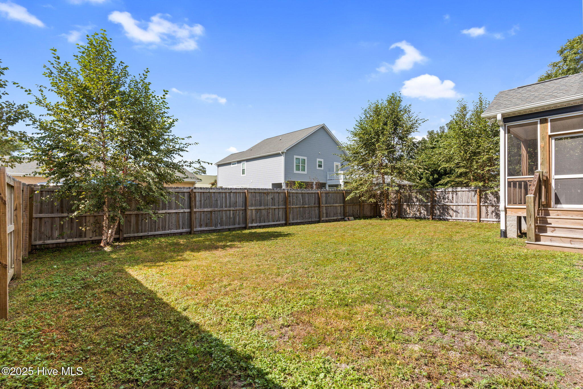 100535167 | Photo 34