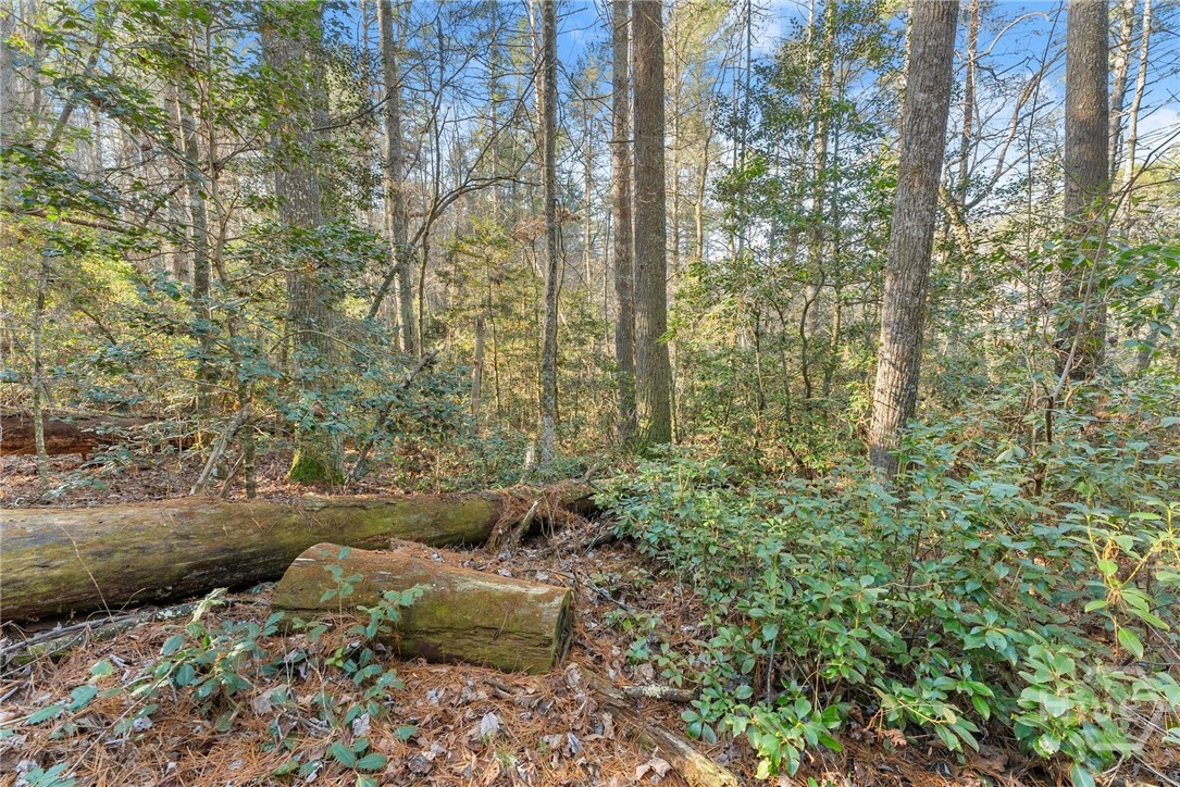 Shoal Creek Tract Habersham County