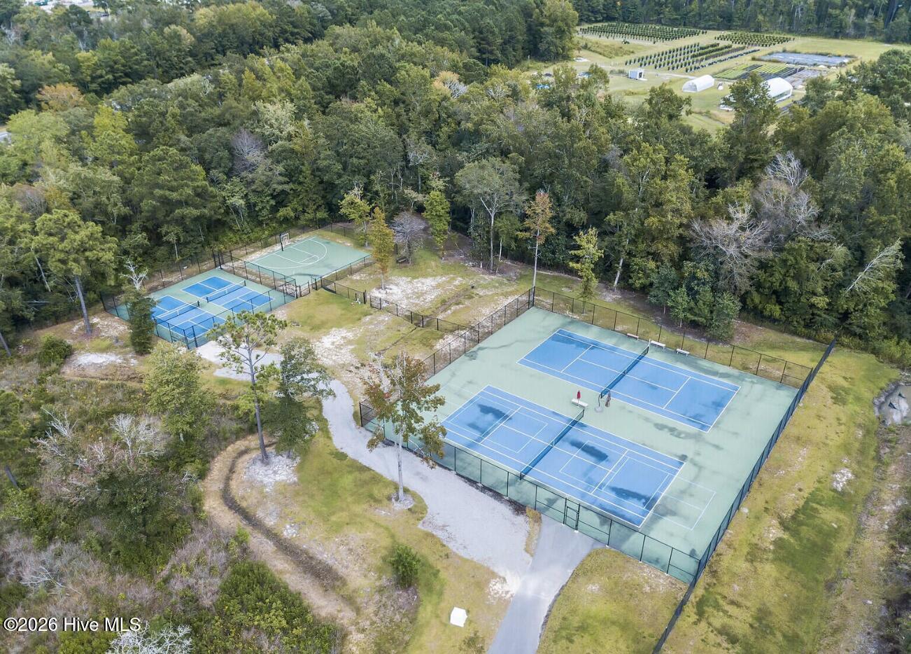 100558541 | Photo 95