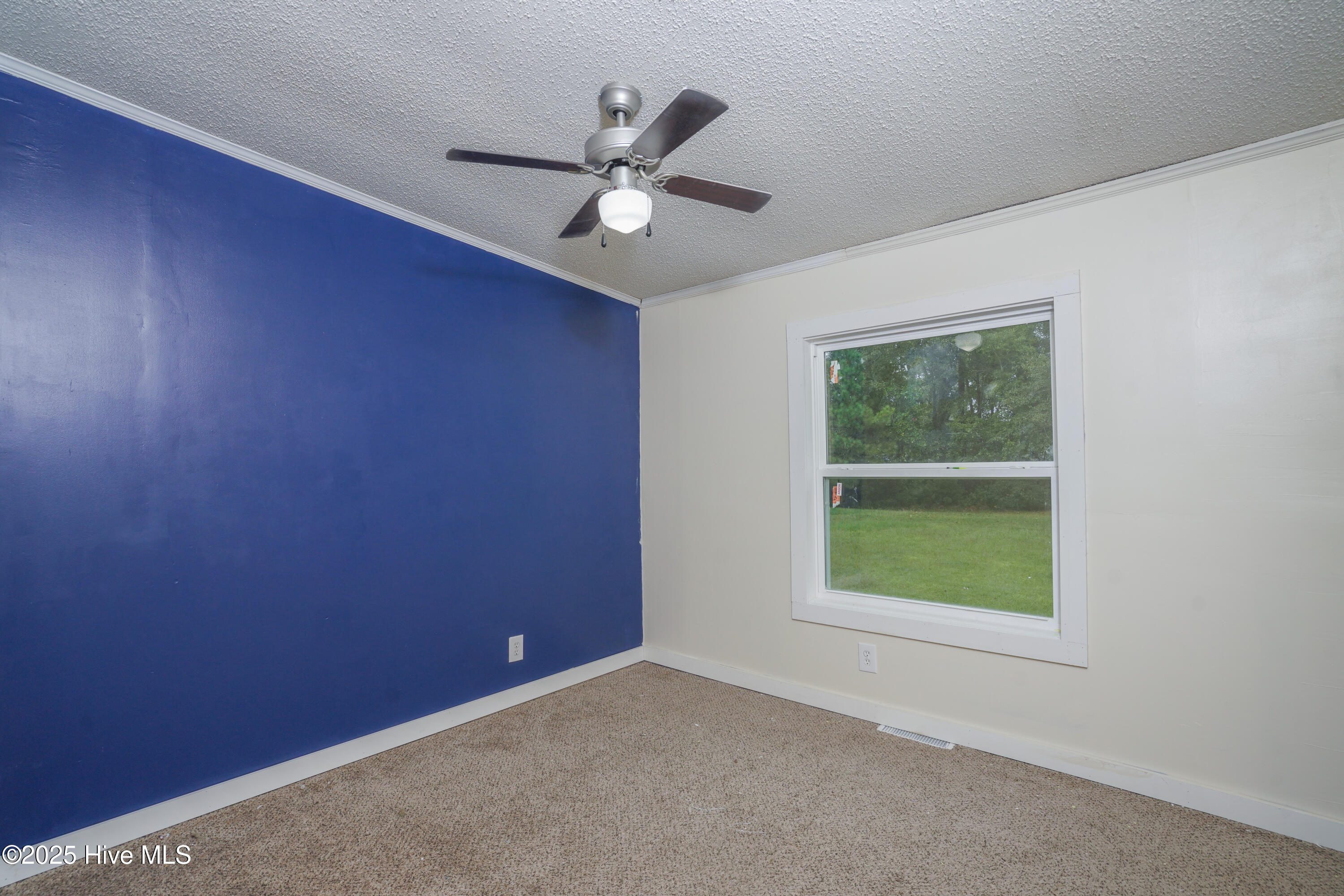 100536641 | Photo 33