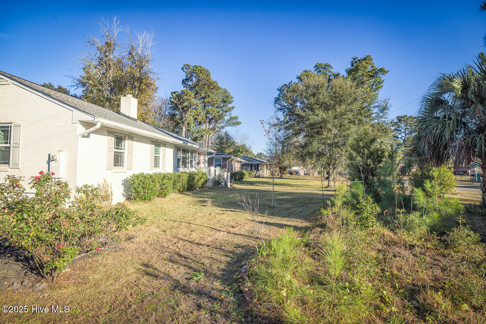 100545205 | Photo 80