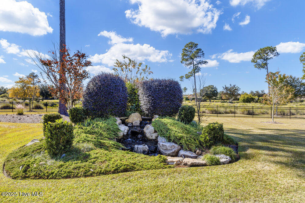 100539818 | Photo 36