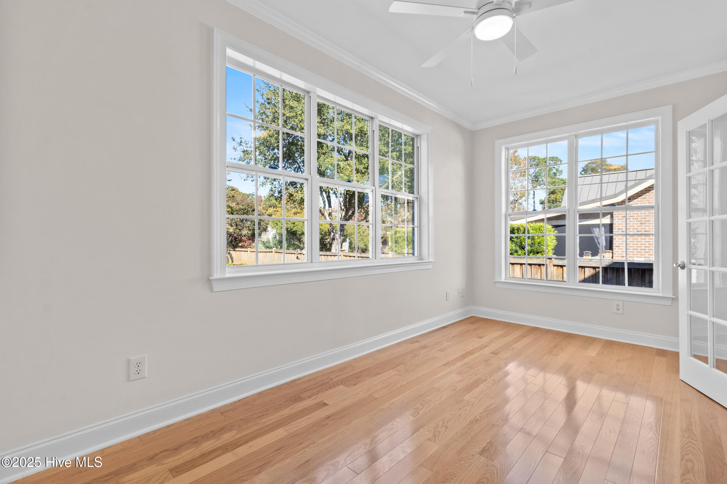 100541482 | Photo 23