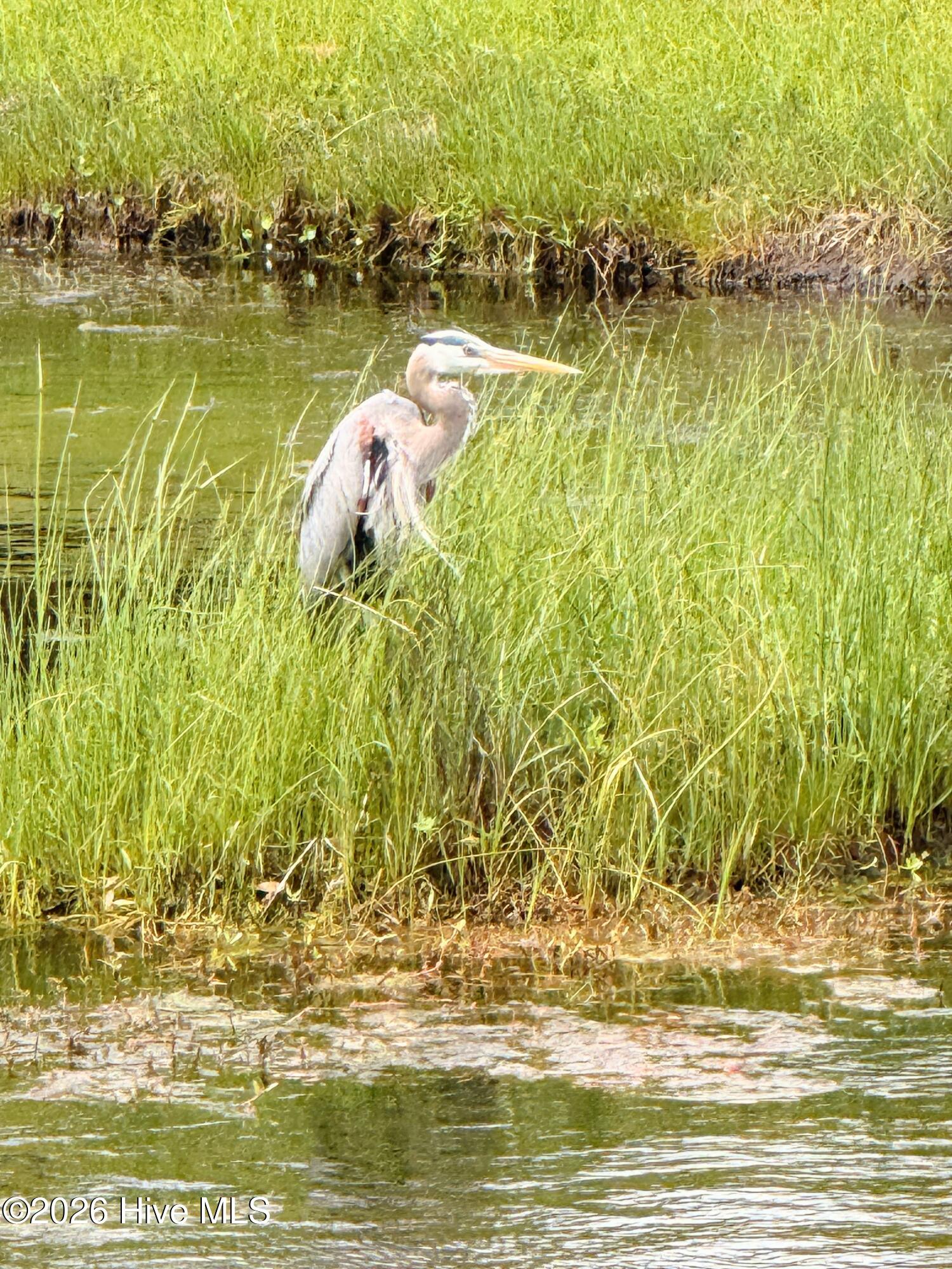 100566158 | Photo 43