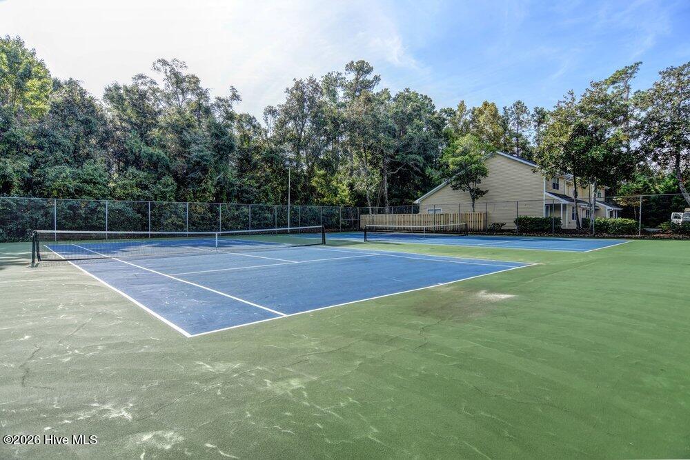 100558387 | Photo 52