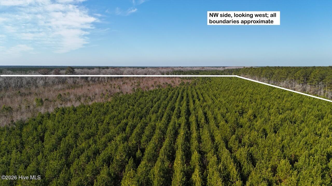 Homes for sale in Maysville, NC | 0 White Oak River Rd, Maysville, NC 28555 | MLS# 100549470