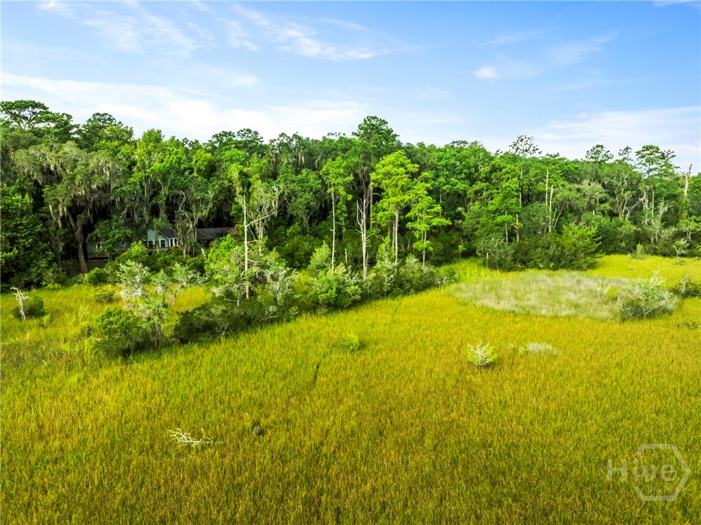 View from the marsh side