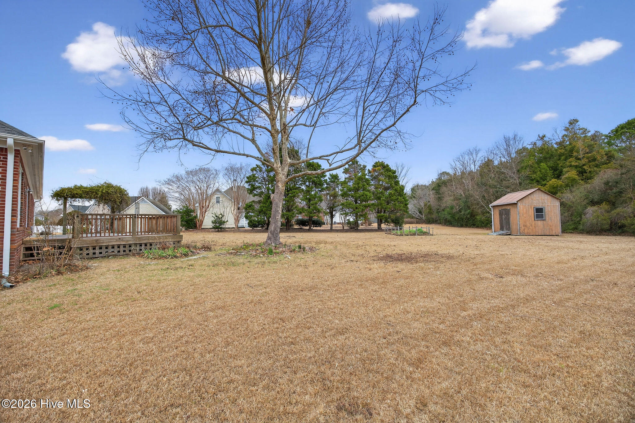 100551519 | Photo 47