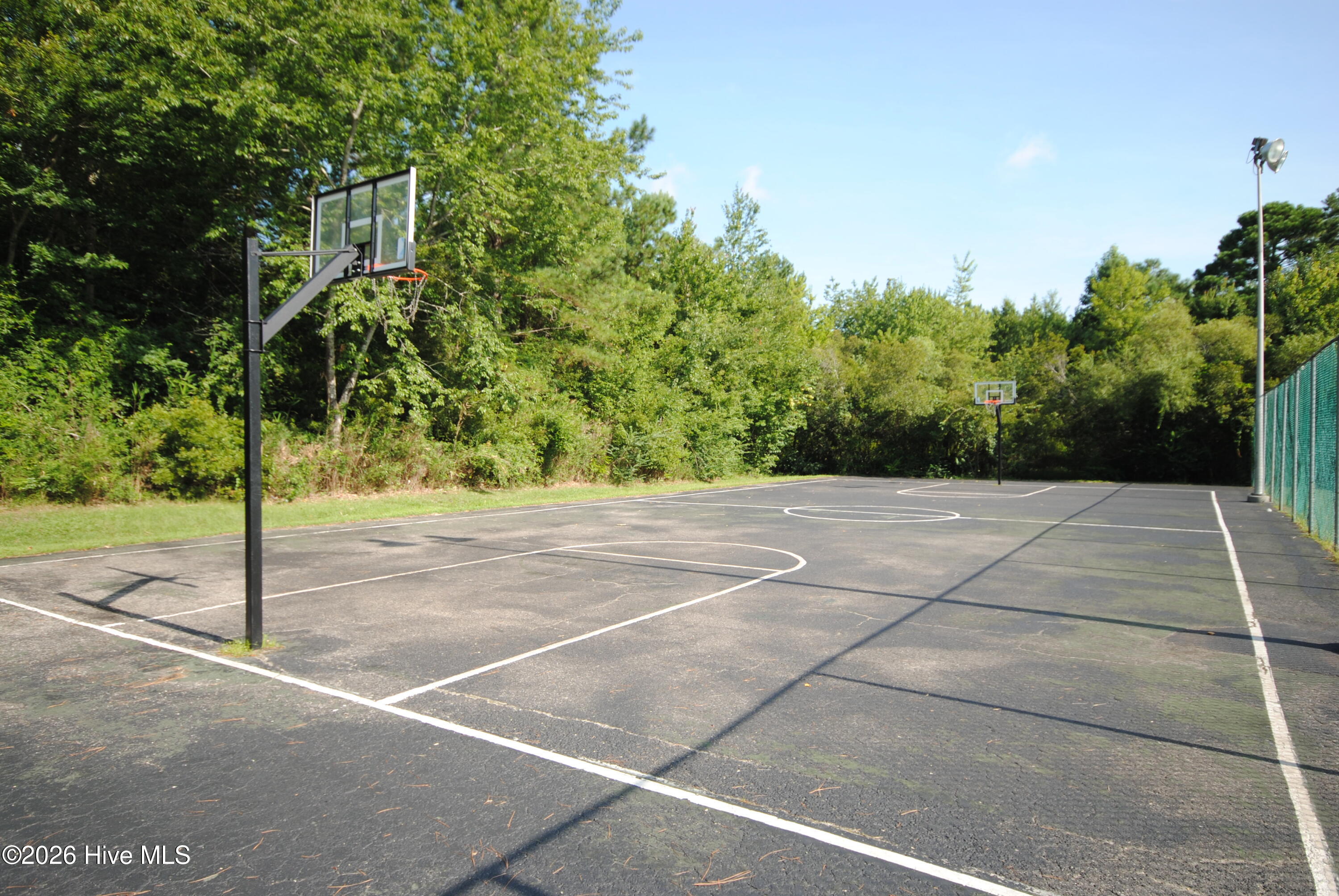 100554525 | Photo 46