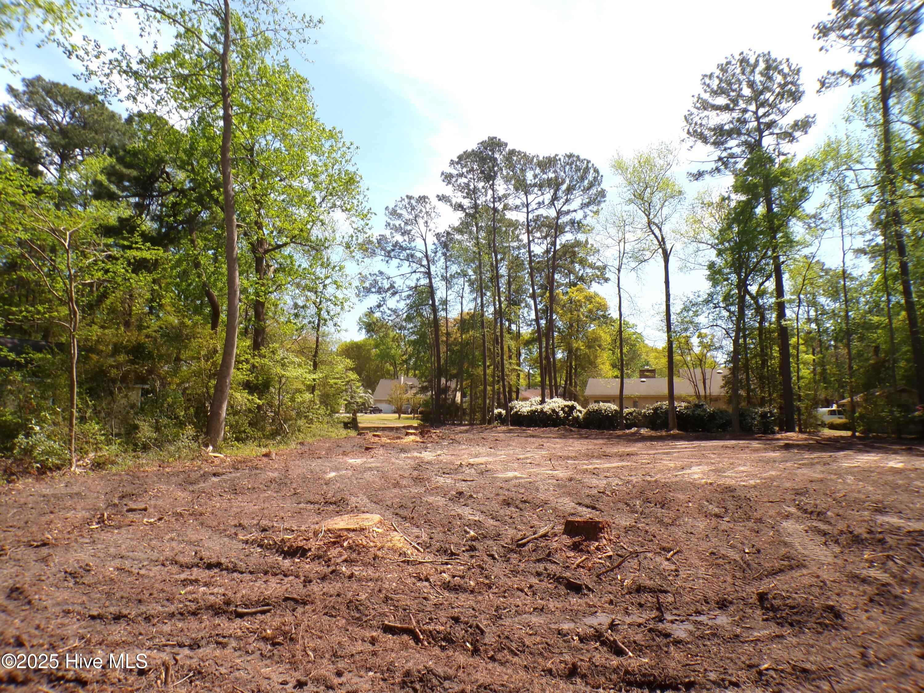 100499822 | Photo 13