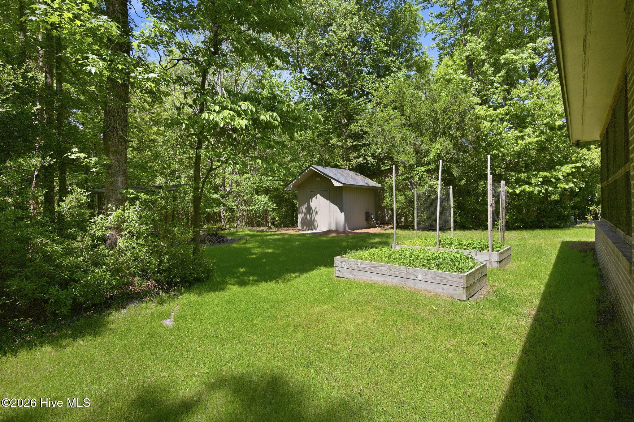 100569469 | Photo 56