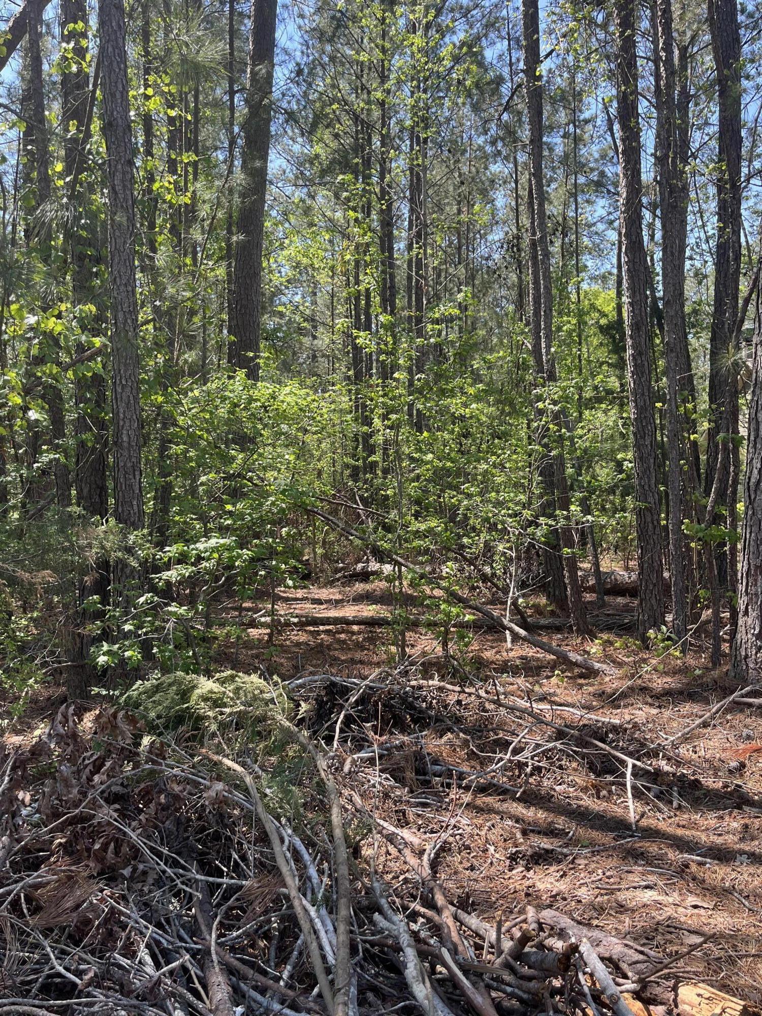 L14 B39 Antioch Drive, Mccormick, SC, 29835