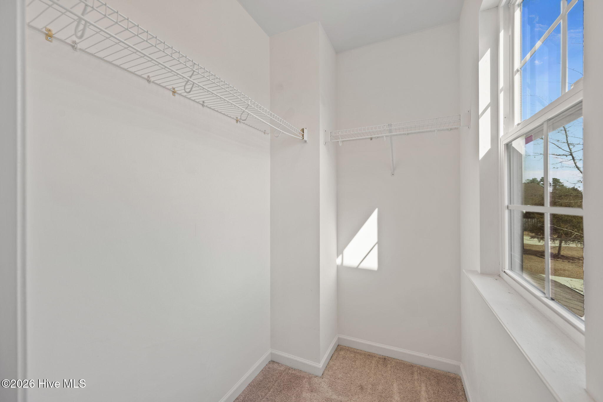 100555792 | Photo 29