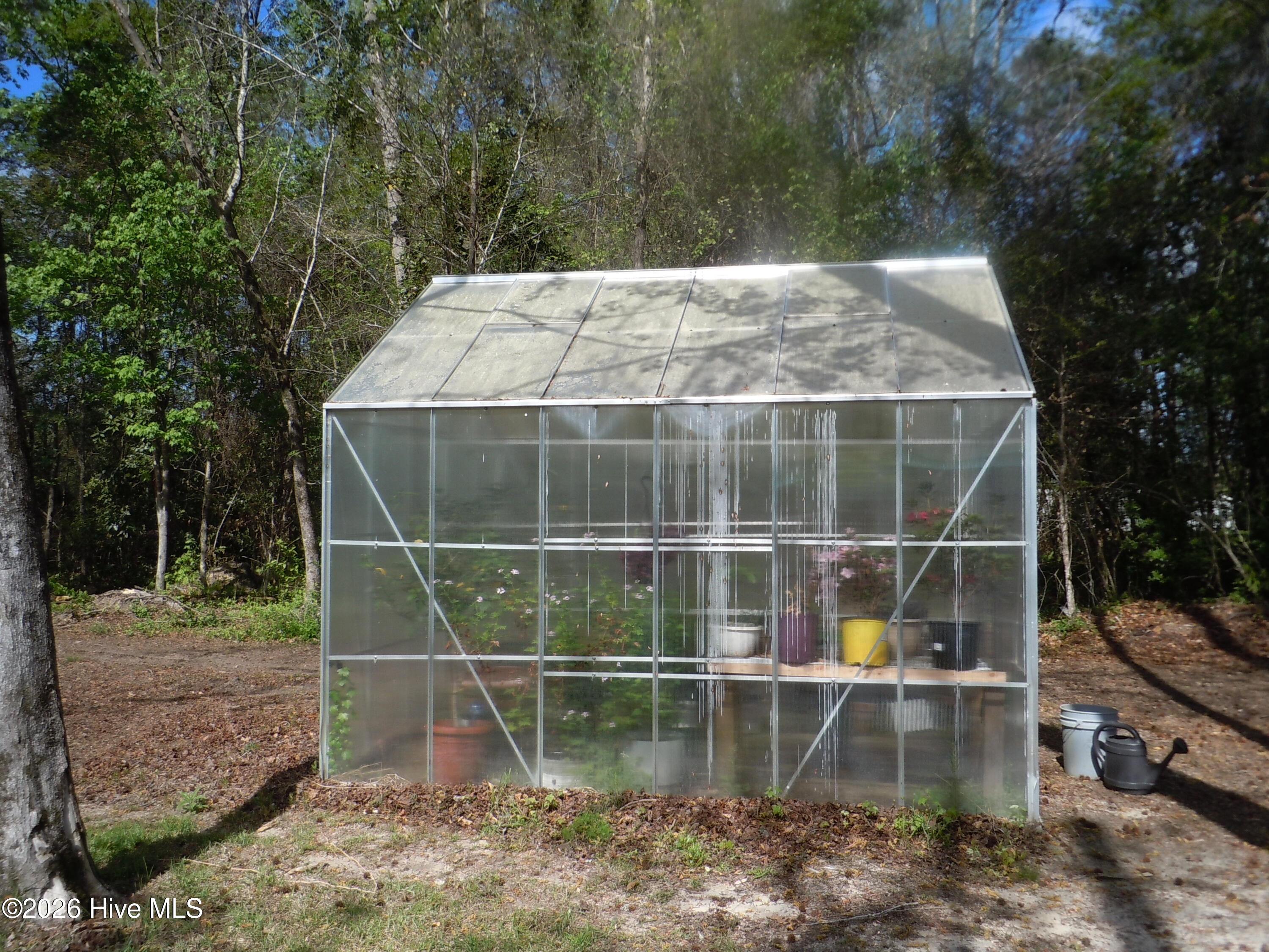 100565129 | Photo 91