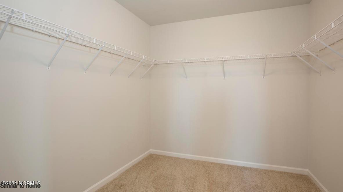 100562307 | Photo 25