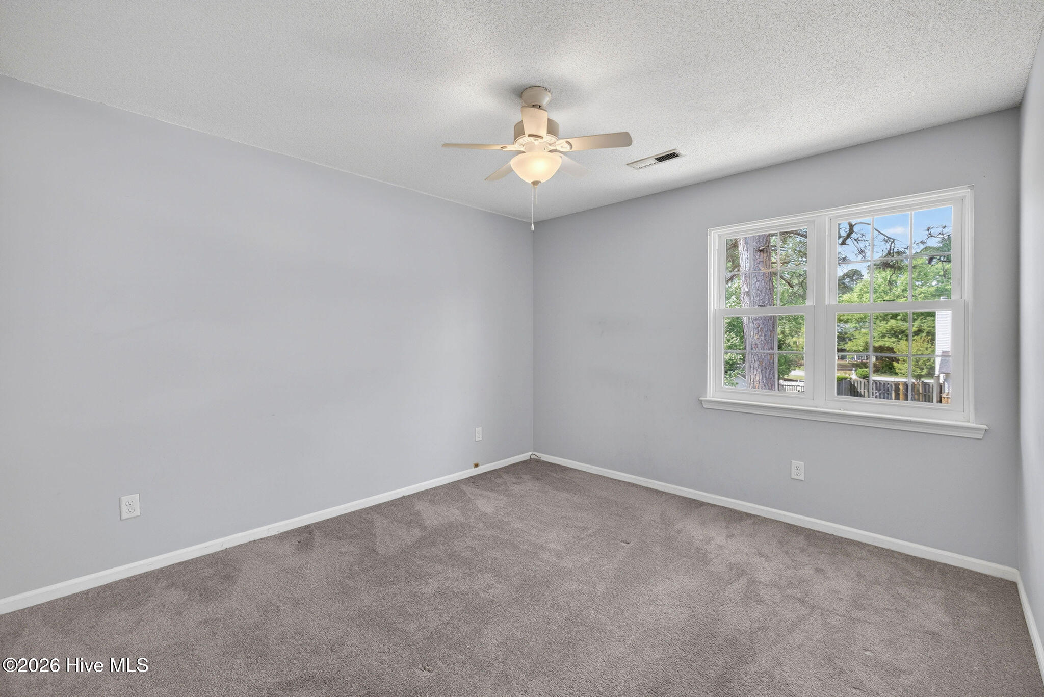 100567707 | Photo 46