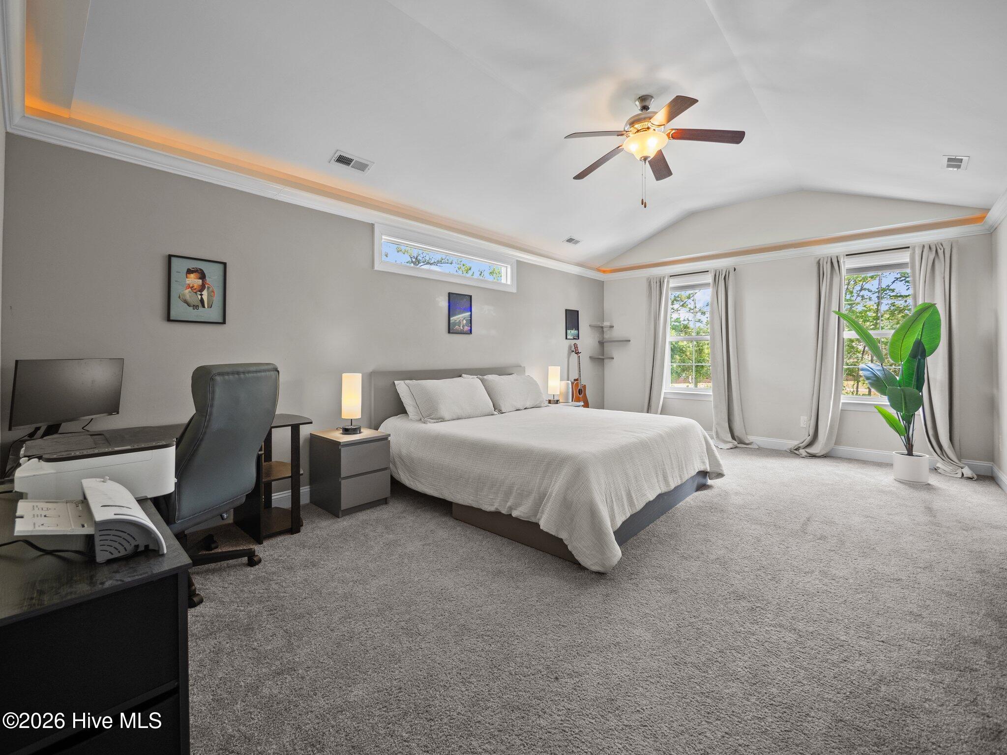 100566345 | Photo 13