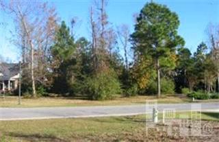 8732 Champion Hills Drive, Wilmington, NC 28411 Listing Photo  1