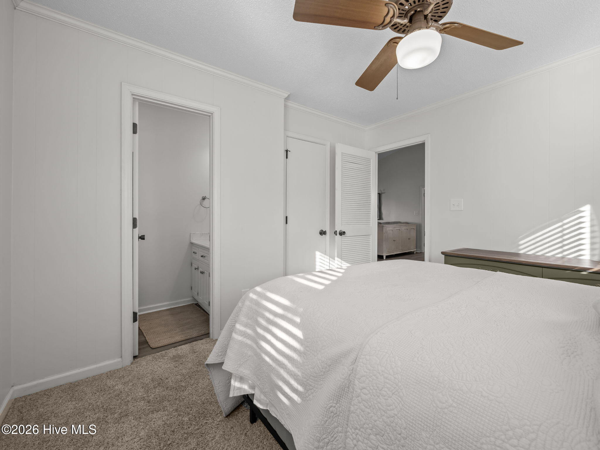 100551194 | Photo 33