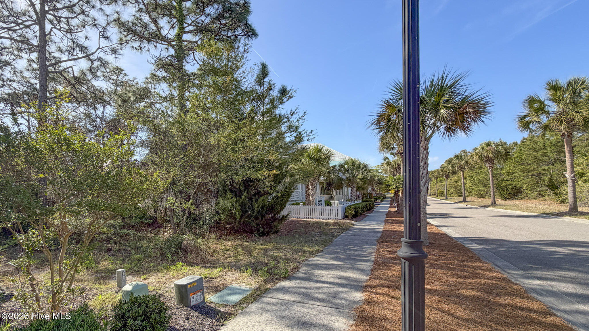 100565581 | Photo 14