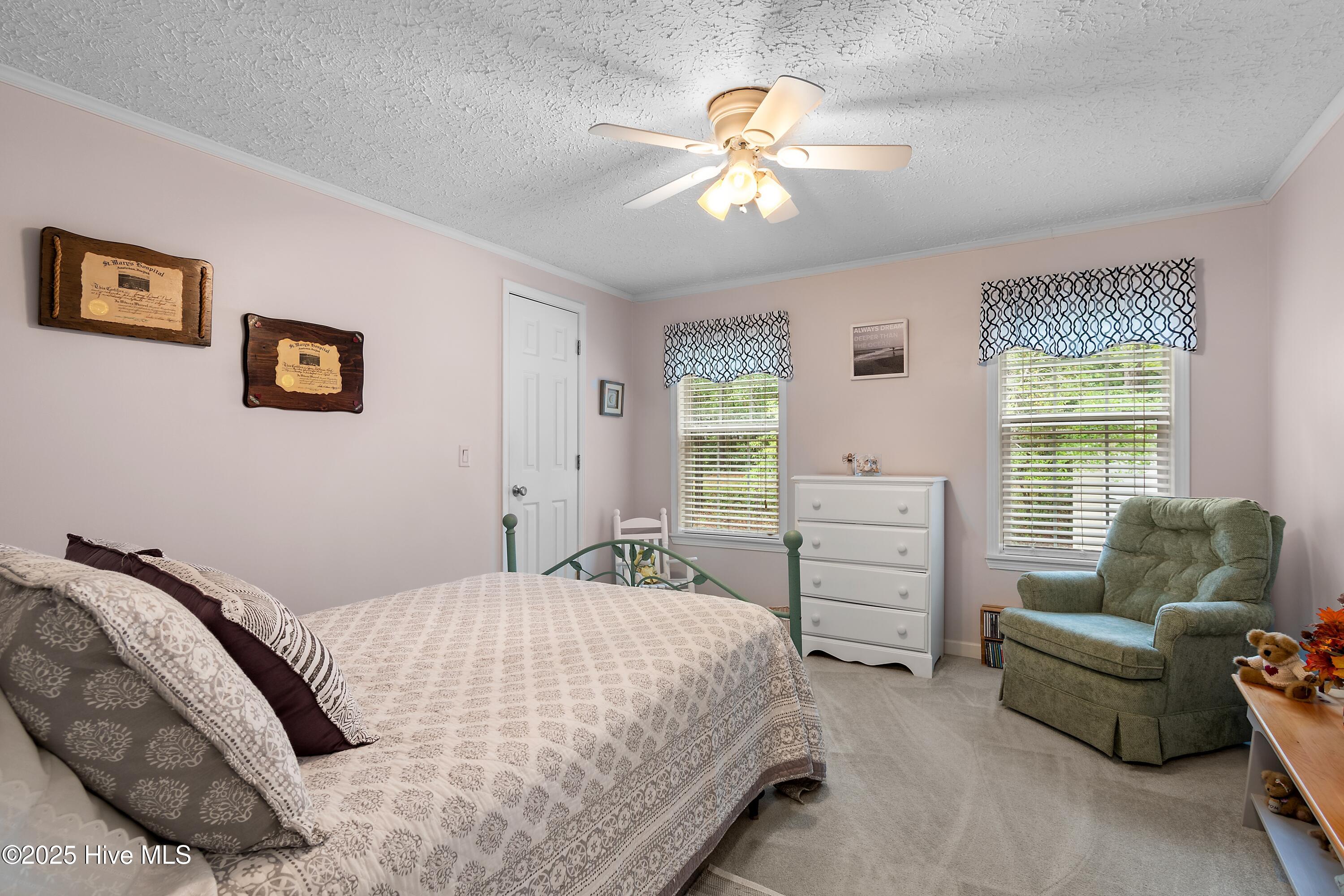 100537026 | Photo 24