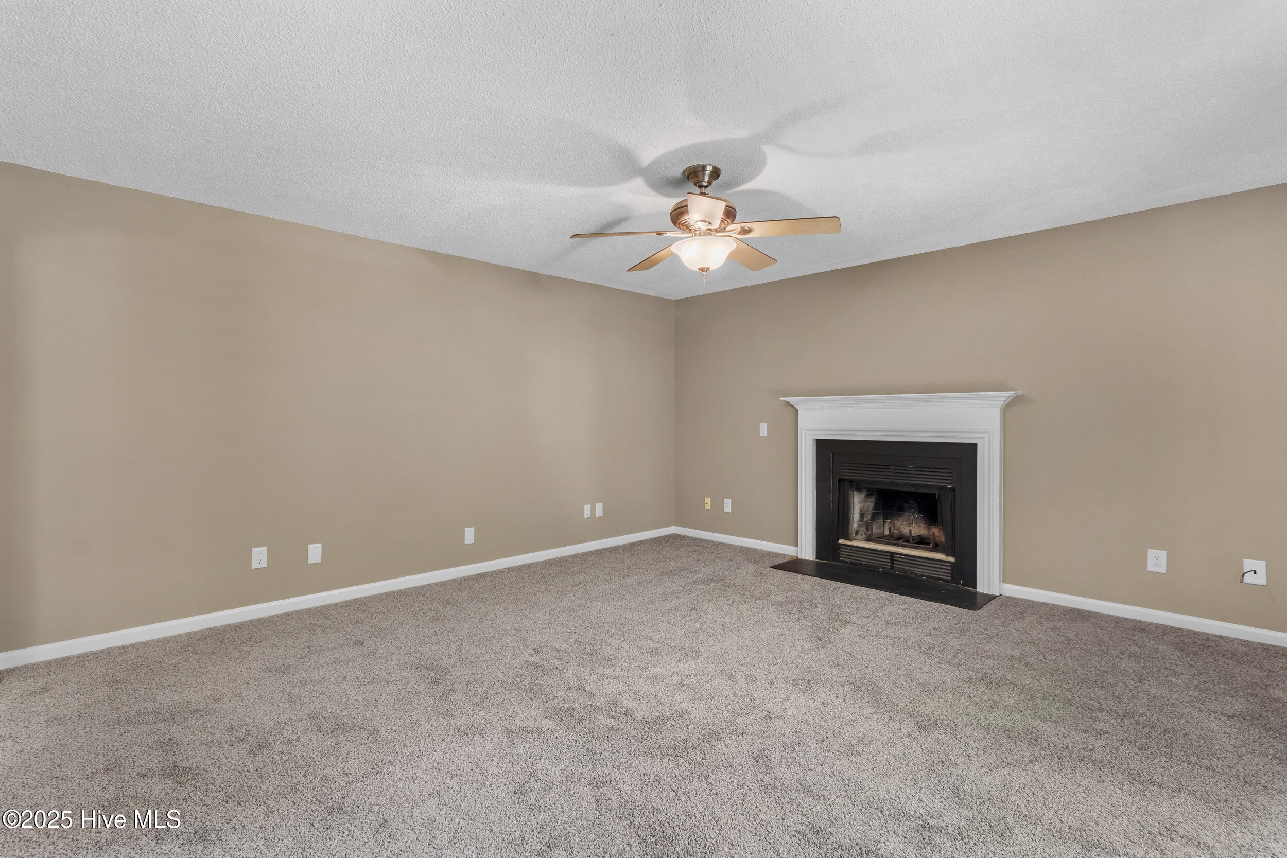 100526469 | Photo 12