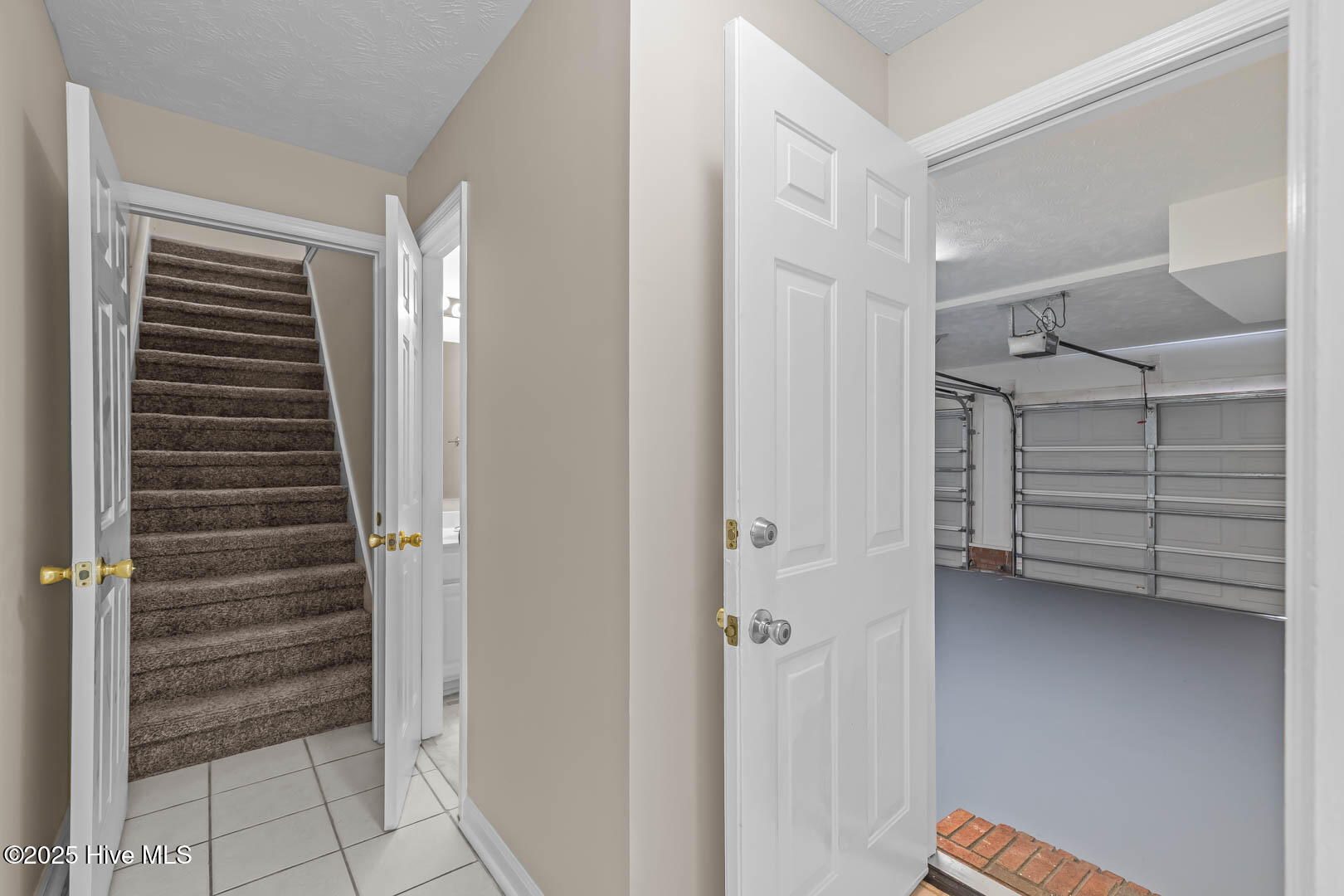 100538607 | Photo 23