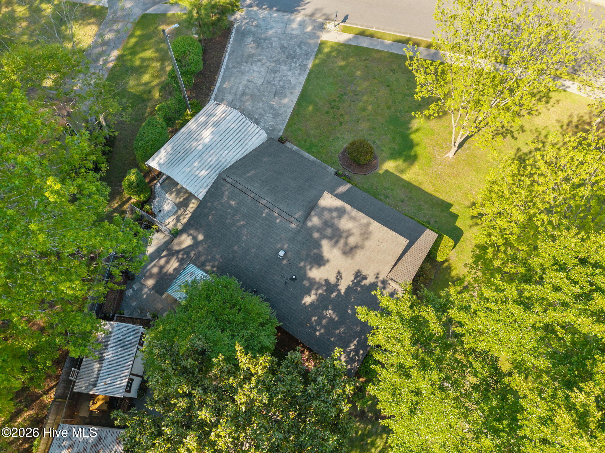 100567245 | Photo 31