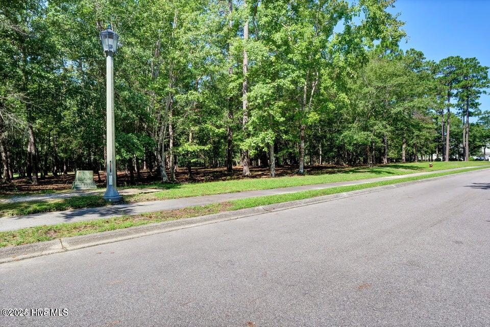 100512687 | Photo 31